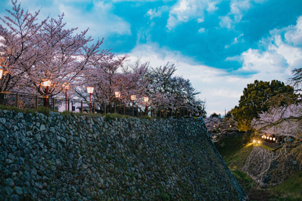 宿泊者限定「夜ばなし」開催日のお知らせ